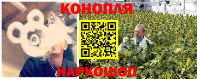 гидра Вязники