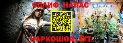 крисы Вышний Волочёк