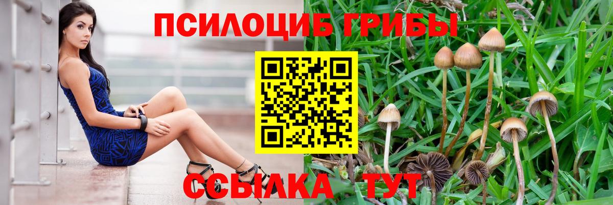 Псилоцибиновые грибы мицелий  Вход с VPN  Зеленодольск 